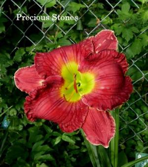 Precious Stones (Smith, Fr., 2008)
